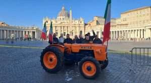 I trattori in Vaticano, portano anche la mucca Ercolina. Il Papa: “Saluto gli agricoltori presenti in piazza”