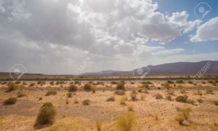 Piano Mattei. Firmata intesa con l’Algeria per il recupero di 36 mila ettari di terreno