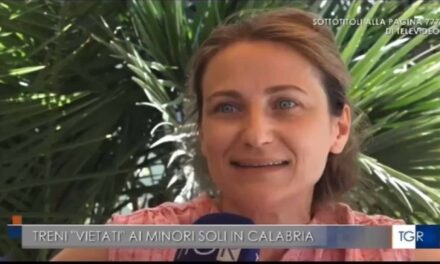  Trenitalia discrimina i bambini del Sud: la denuncia di una mamma calabrese