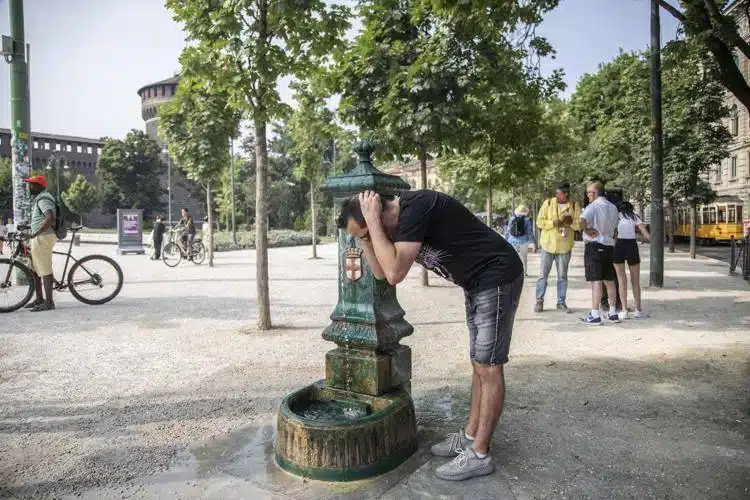 Ondata di caldo estremo in arrivo: in Sicilia si sfiorano i 50°C, possibile record storico