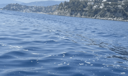 Mare negato: il paradosso delle coste catanzaresi tra divieti sospesi e degrado evidente