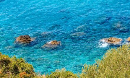 Estate 2025: le destinazioni più popolari tra mare, montagna e mete esotiche