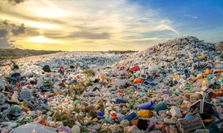Ogni anno si producono 435 milioni di tonnellate di plastica, la sfida parte da Ginevra