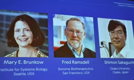 Nobel per la Medicina 2025: premiati Brunkow, Ramsdell e Sakaguchi per le scoperte sul sistema immunitario