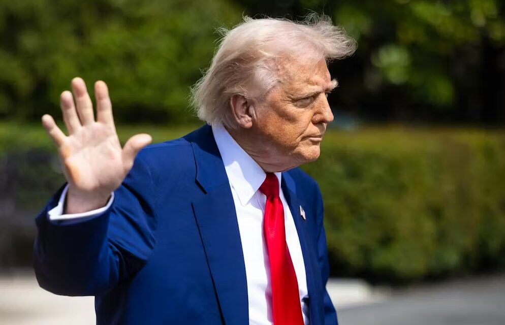 Dazi Trump, l’Ue pronta alla risposta: dal 6 febbraio controdazi per 93 miliardi