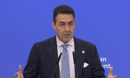 Vannacci aderisce al gruppo europeo di ultradestra guidato da AfD