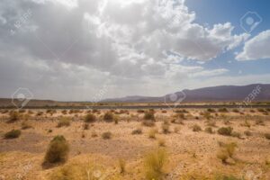 Piano Mattei. Firmata intesa con l’Algeria per il recupero di 36 mila ettari di terreno
