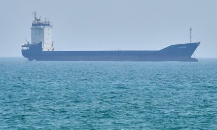 Gli Stati Uniti sequestrano una portacontainer iraniana nel Golfo di Oman